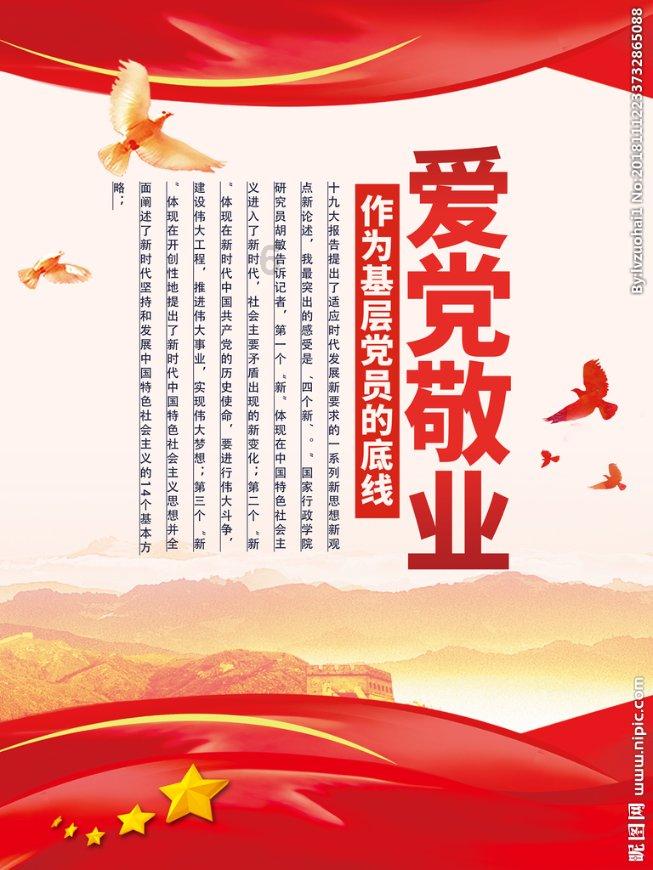 救援呆萌的猫